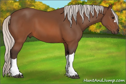 Horse Color: Silver Brown 
