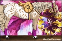 Horse Color:Chestnut Near Leopard 