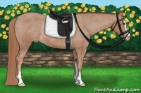 Horse Color:Chestnut Sabino Varnish Rabicano 