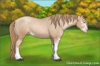Horse Color:Chestnut Pearl Sabino Varnish Rabicano 