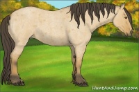 Horse Color:Buckskin Roan Dun 