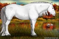 Horse Color:Brown Fewspot 