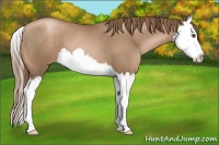 Horse Color:Liver Chestnut Pearl Splash 