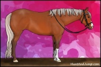 Horse Color:Silver Bay