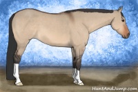 Horse Color:Bay Dun