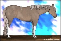 Horse Color:Silver Grullo Tobiano 