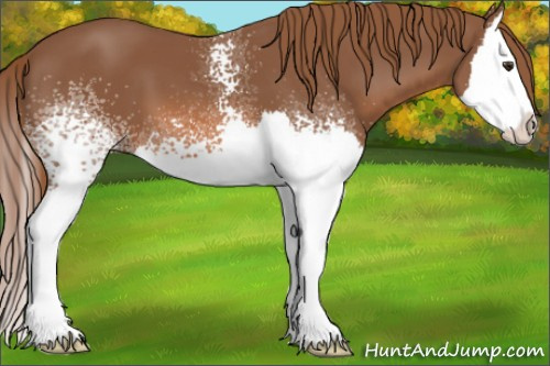 Horse Color: White Spotted Chestnut Splash 
