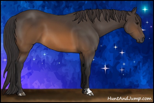 Horse Color: Buckskin 