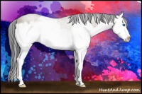 Horse Color:Brown Roan Dun Sabino Splash 