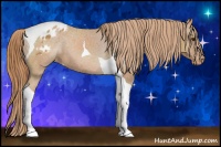 Horse Color:Chestnut Tobiano Blanket 