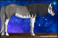 Horse Color:Grullo Sabino Splash Rabicano 
