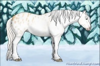 Horse Color:Gray Silver Amber Cream Champagne Roan Dun Splash Tobiano Frame Appaloosa Rabicano