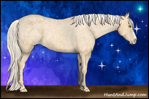 Horse Color: Gold Cream Champagne Ice Blanket 