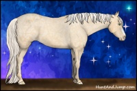 Horse Color:Gold Cream Champagne Ice Appaloosa 