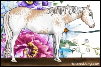 Horse Color:White Spotted Silver Classic Champagne 