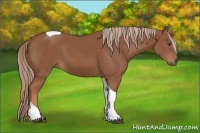 Horse Color:Chestnut Tobiano 