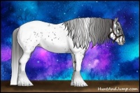 Horse Color:White Spotted Black Splash Tobiano Frame Appaloosa