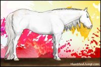 Horse Color:White Spotted Cremello 