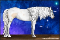 Horse Color:Palomino Pearl Splash Tobiano 