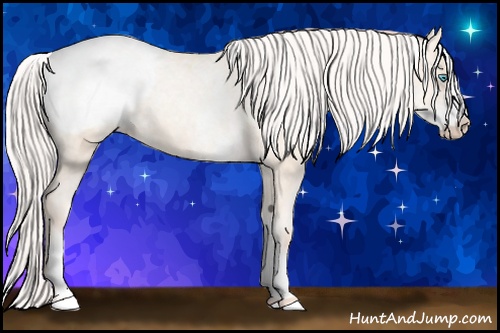 Horse Color: White Spotted Silver Sable Cream Champagne Ice Pearl Snowcap 