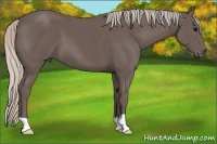Horse Color:Silver Black 