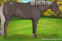Horse Color:Silver Black 