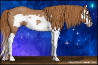 Horse Color:Chestnut Splash Frame Rabicano 