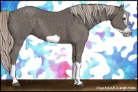 Horse Color:Silver Black Splash Frame 