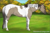 Horse Color:Smoky Grullo Roan Tobiano 