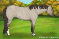 Horse Color:Smoky Grullo Roan Sabino 