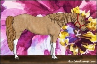 Horse Color:Chestnut  Brindle