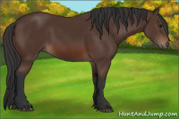 Horse Color:Brown 