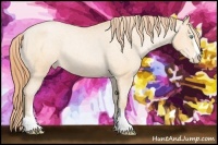 Horse Color:Buckskin Pearl Sabino Varnish Rabicano 