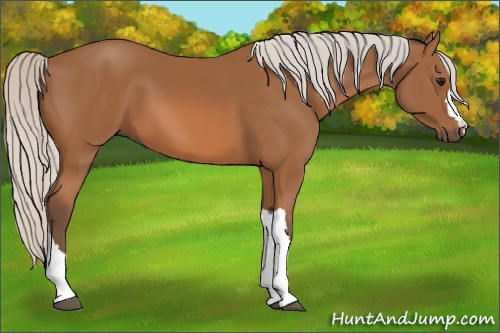 Horse Color: Silver Bay 