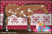 Horse Color:White Spotted Bay Rabicano 