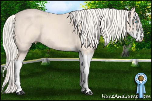 Horse Color: Cremello Sabino 