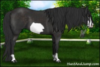 Horse Color:Liver Chestnut Frame 