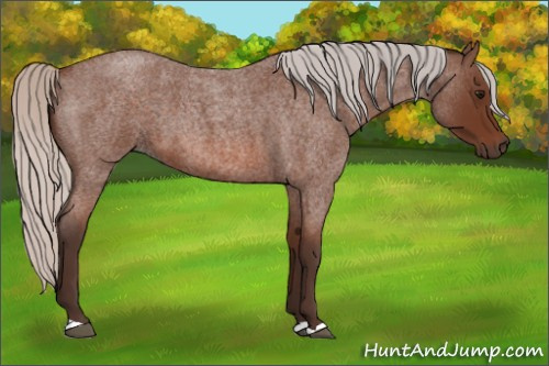 Horse Color: Silver Bay Roan 