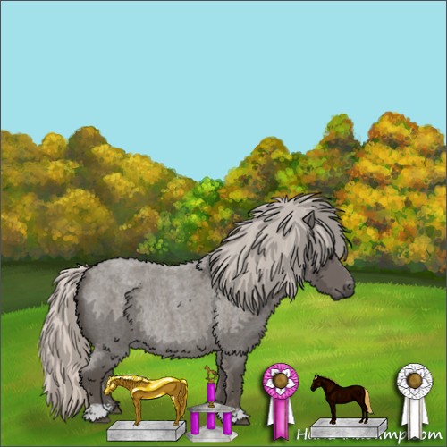 Horse Color:Silver Blue Roan Mushroom Rabicano  and Silver Blue Roan Mushroom Rabicano  and Silver Blue Roan Mushroom Rabicano  and Silver Blue Roan Mushroom Rabicano 