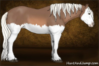 Horse Color:Chestnut Mushroom Splash 