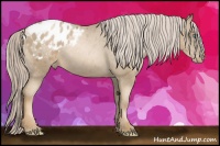 Horse Color:Chocolate Palomino Pearl Sabino Blanket Rabicano 