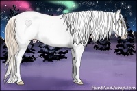 Horse Color:Gold Champagne Snowcap 