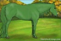 Horse Color:Watercolor Black 