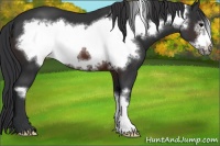 Horse Color:Brown Frame 