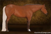 Horse Color:Silver Buckskin 