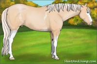 Horse Color:White Spotted Silver Buckskin Pearl 
