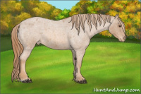 Horse Color:Red Roan Varnish 