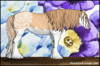 Horse Color:Gold Champagne Splash