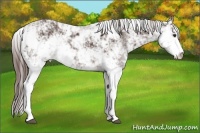 Horse Color:ERROR: UNKNOWN ANOMALY