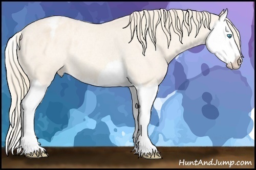 Horse Color: Perlino Splash Blanket Rabicano 